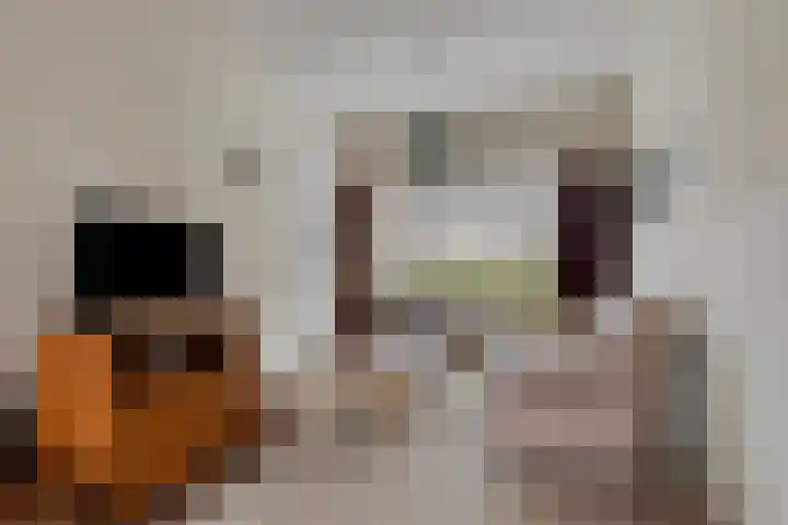 Jannewekken 23 Zierikzee thumbnail 11