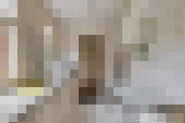 Jannewekken 23 Zierikzee thumbnail 17
