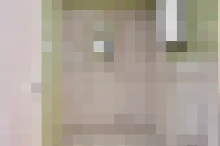 Jannewekken 23 Zierikzee thumbnail 18