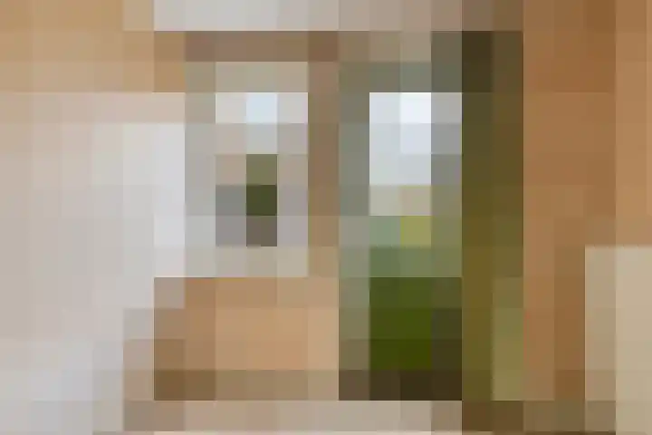Jannewekken 23 Zierikzee thumbnail 26