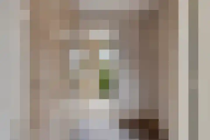 Jannewekken 23 Zierikzee thumbnail 30