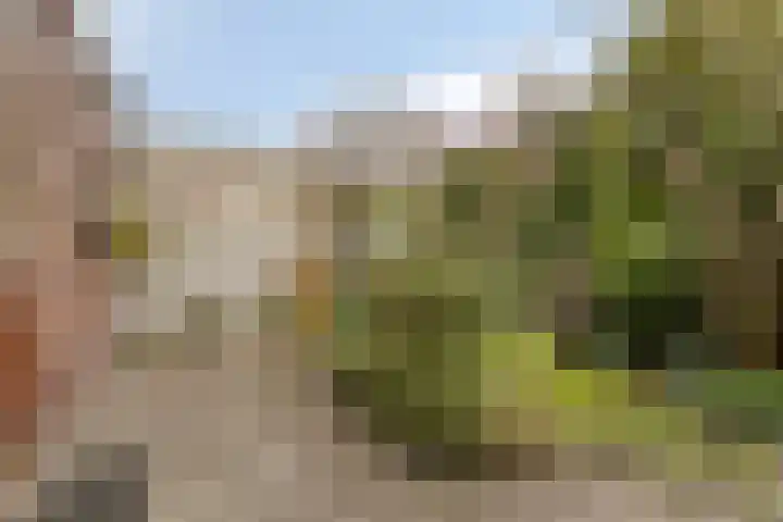 Jannewekken 23 Zierikzee thumbnail 34