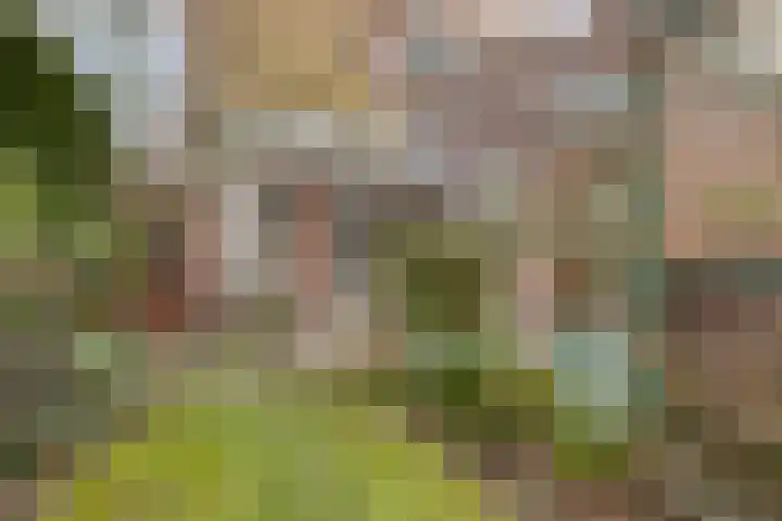Jannewekken 23 Zierikzee thumbnail 38