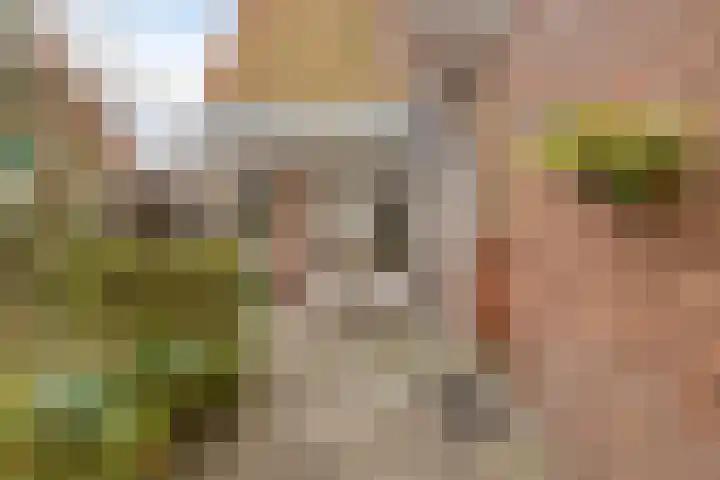 Jannewekken 23 Zierikzee thumbnail 39