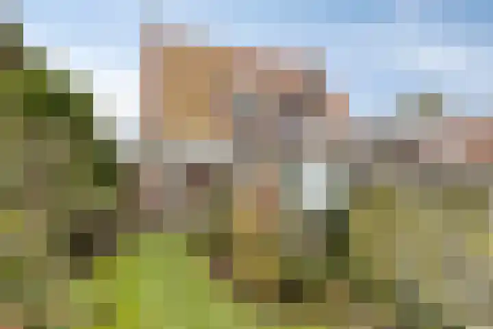 Jannewekken 23 Zierikzee thumbnail 40