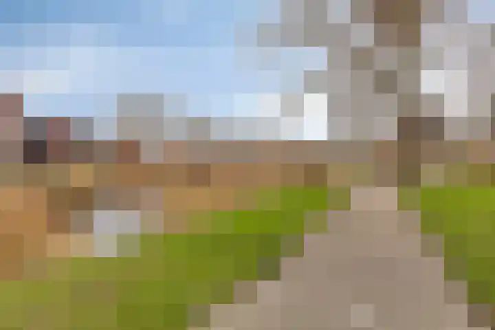 Jannewekken 23 Zierikzee thumbnail 45