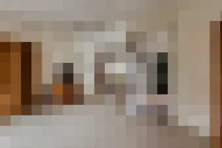 Jannewekken 23 Zierikzee thumbnail 5