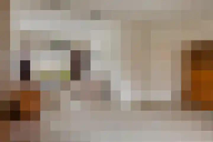 Jannewekken 23 Zierikzee thumbnail 7
