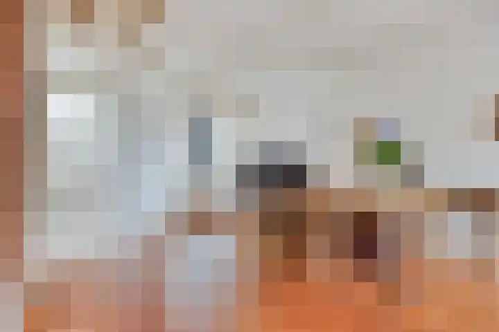 Janninksweg 159 Enschede thumbnail 13