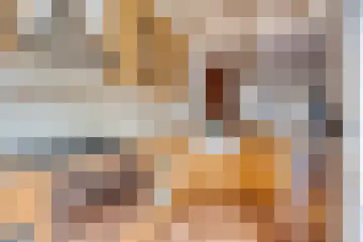 Janninksweg 159 Enschede thumbnail 19