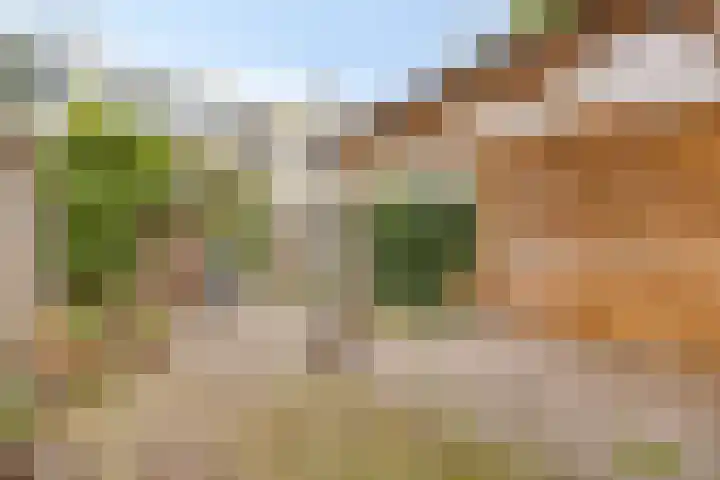 Janninksweg 159 Enschede thumbnail 34