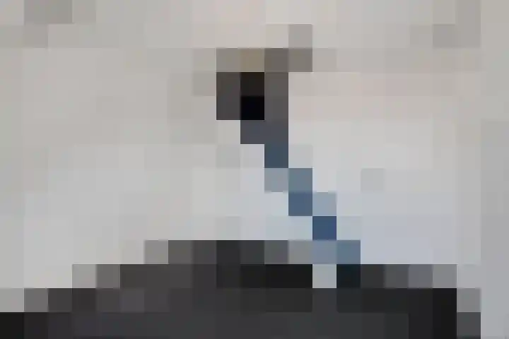 Janninksweg 40 A Enschede thumbnail 27