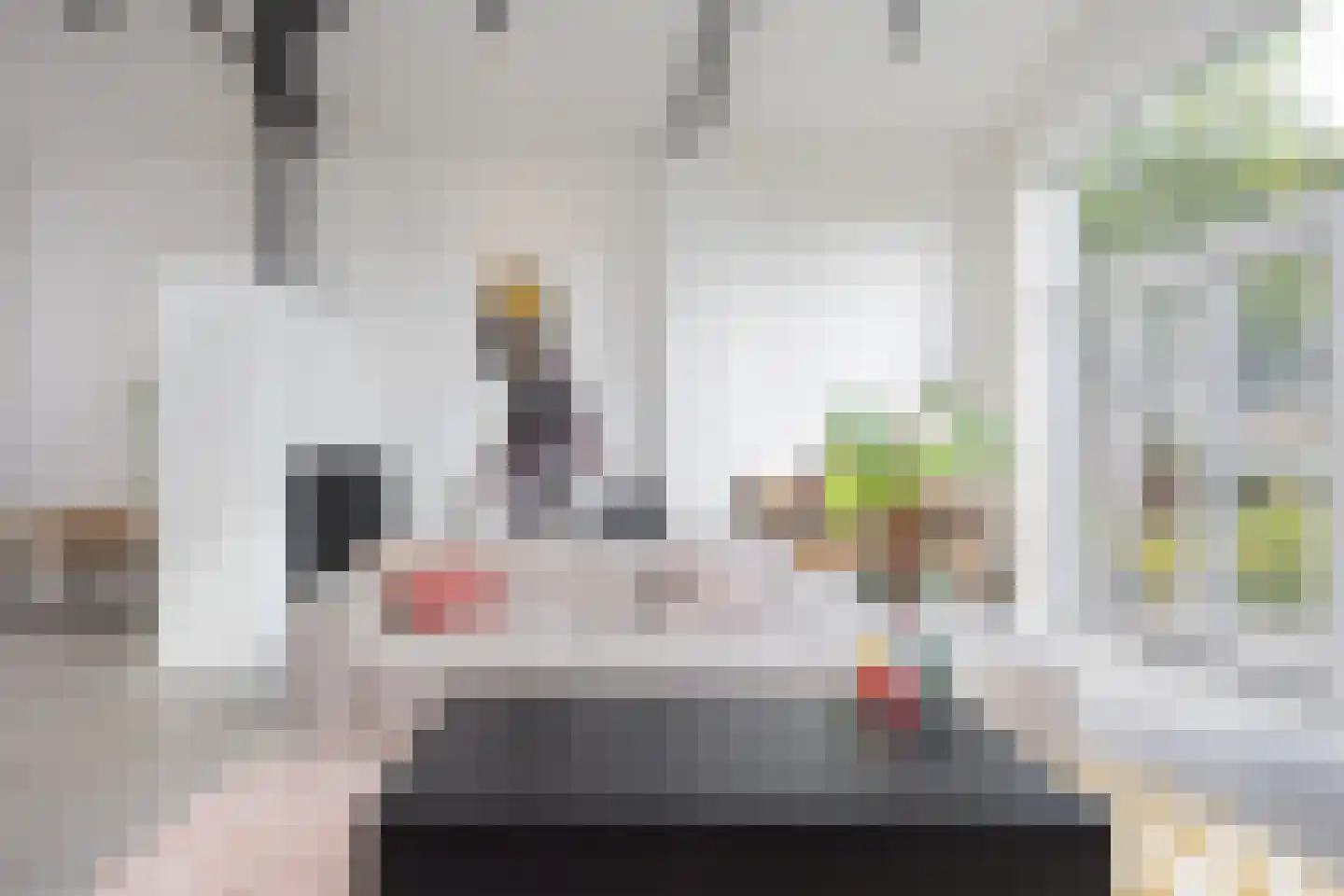 Janninksweg 78 Enschede thumbnail 11