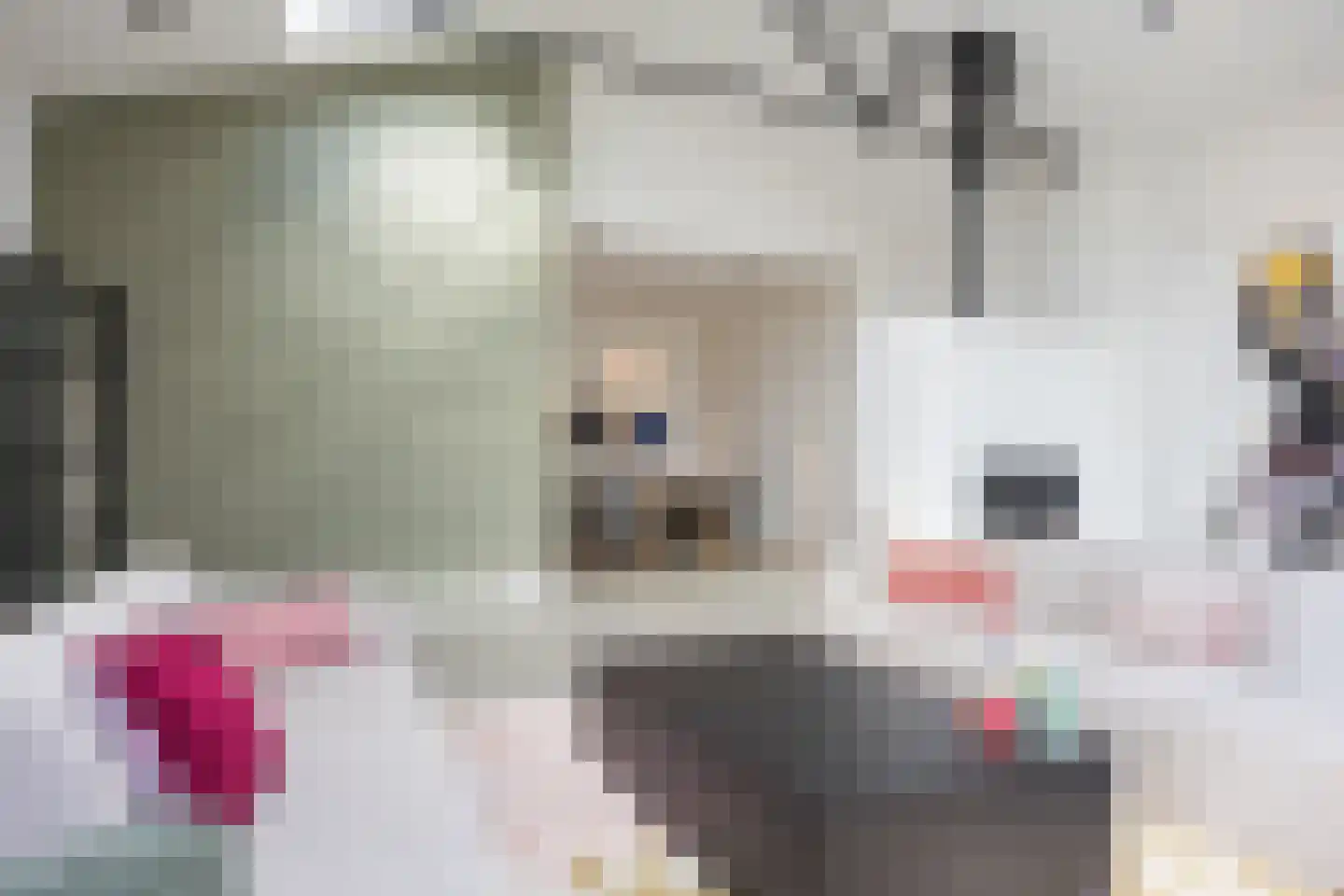 Janninksweg 78 Enschede thumbnail 12
