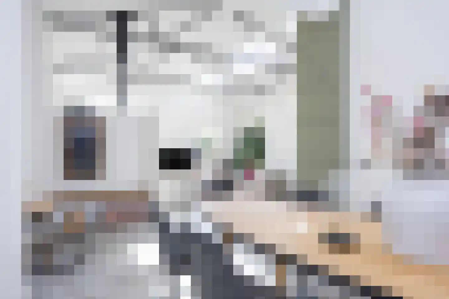 Janninksweg 78 Enschede thumbnail 16