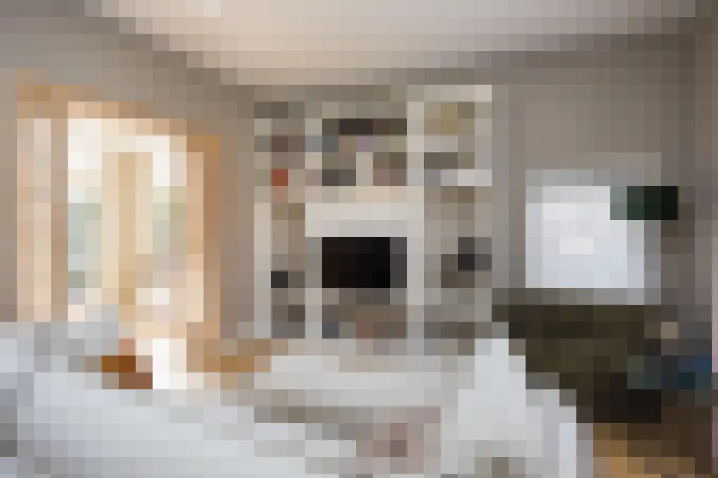 Janninksweg 78 Enschede thumbnail 20