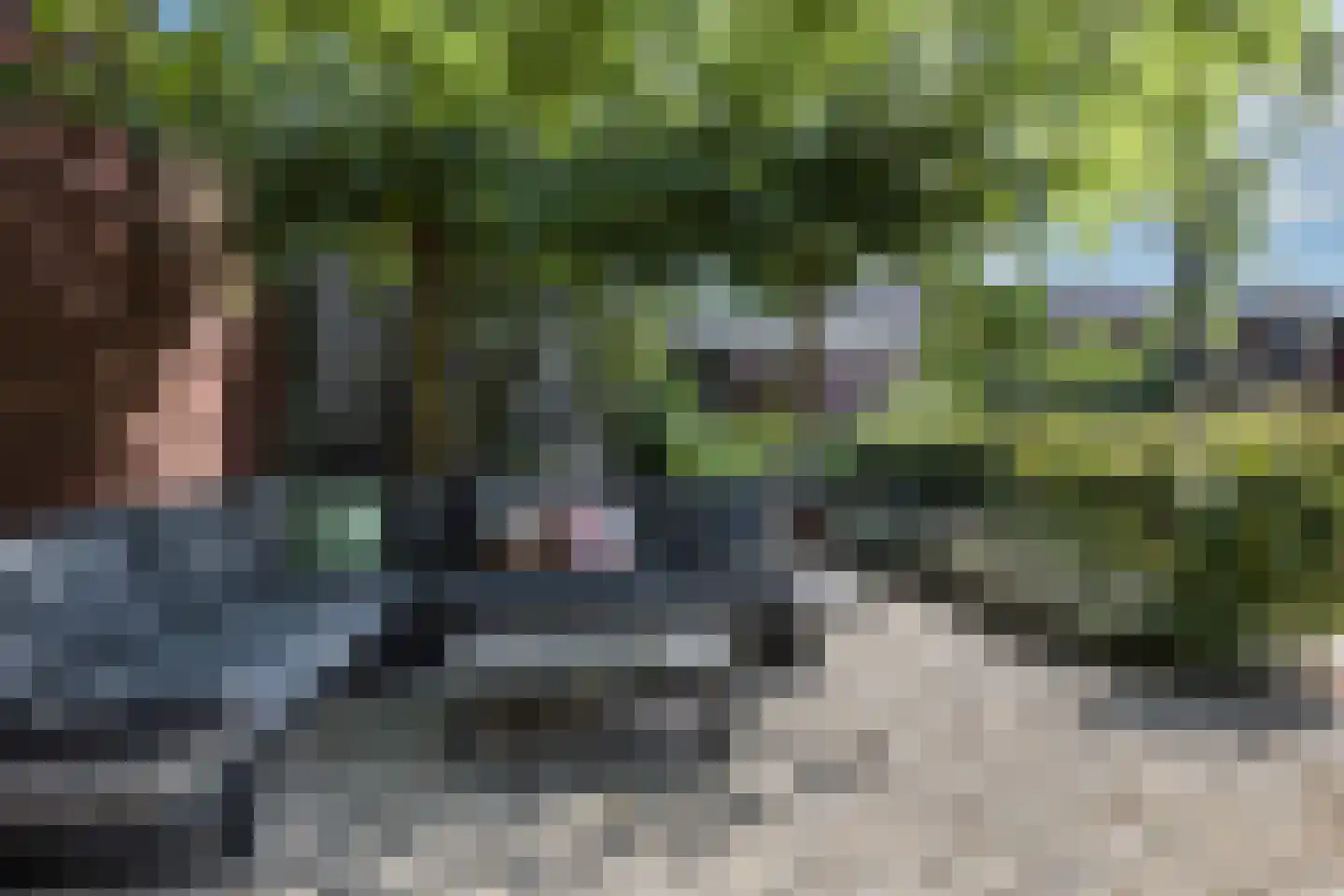 Janninksweg 78 Enschede thumbnail 36