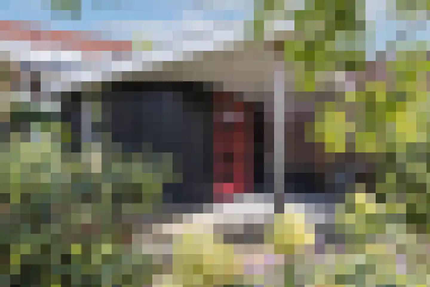 Janninksweg 78 Enschede thumbnail 38