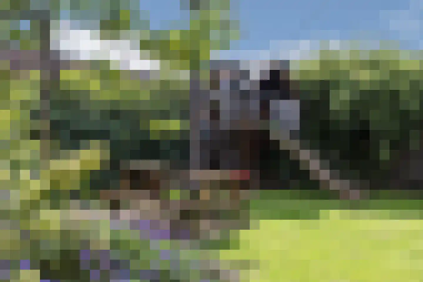 Janninksweg 78 Enschede thumbnail 39