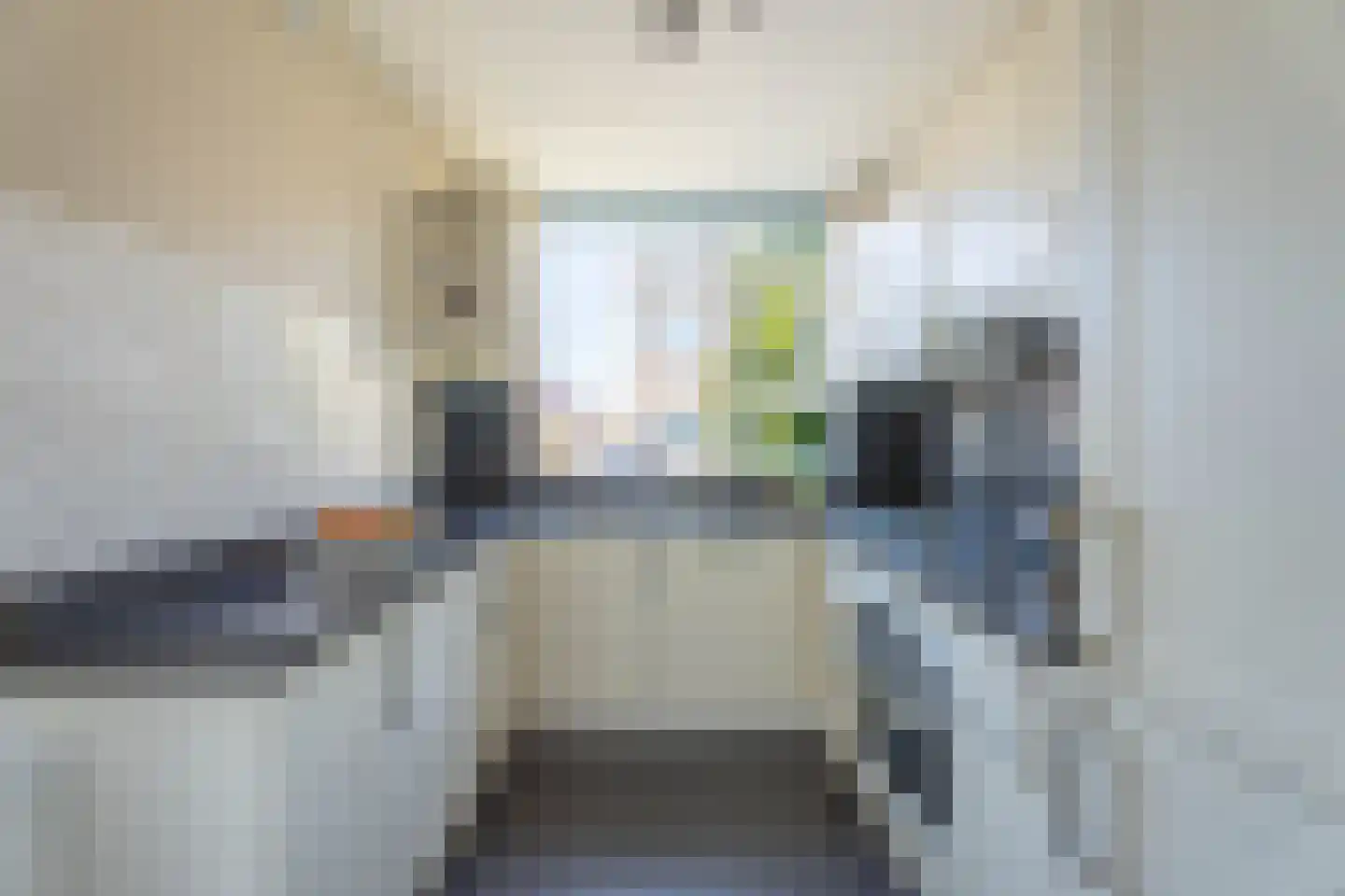 Janplezier 8 Sassenheim thumbnail 10