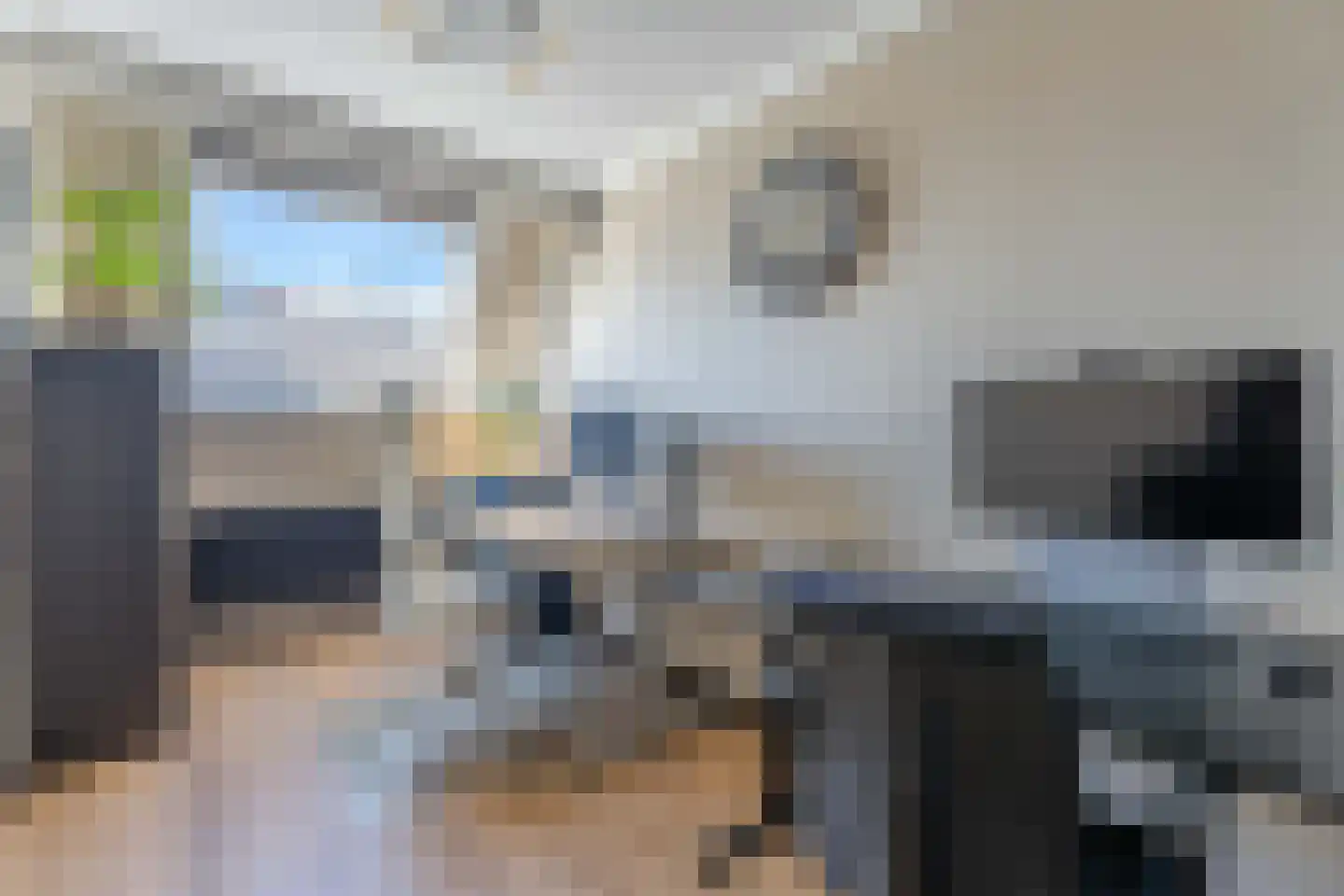 Janplezier 8 Sassenheim thumbnail 18