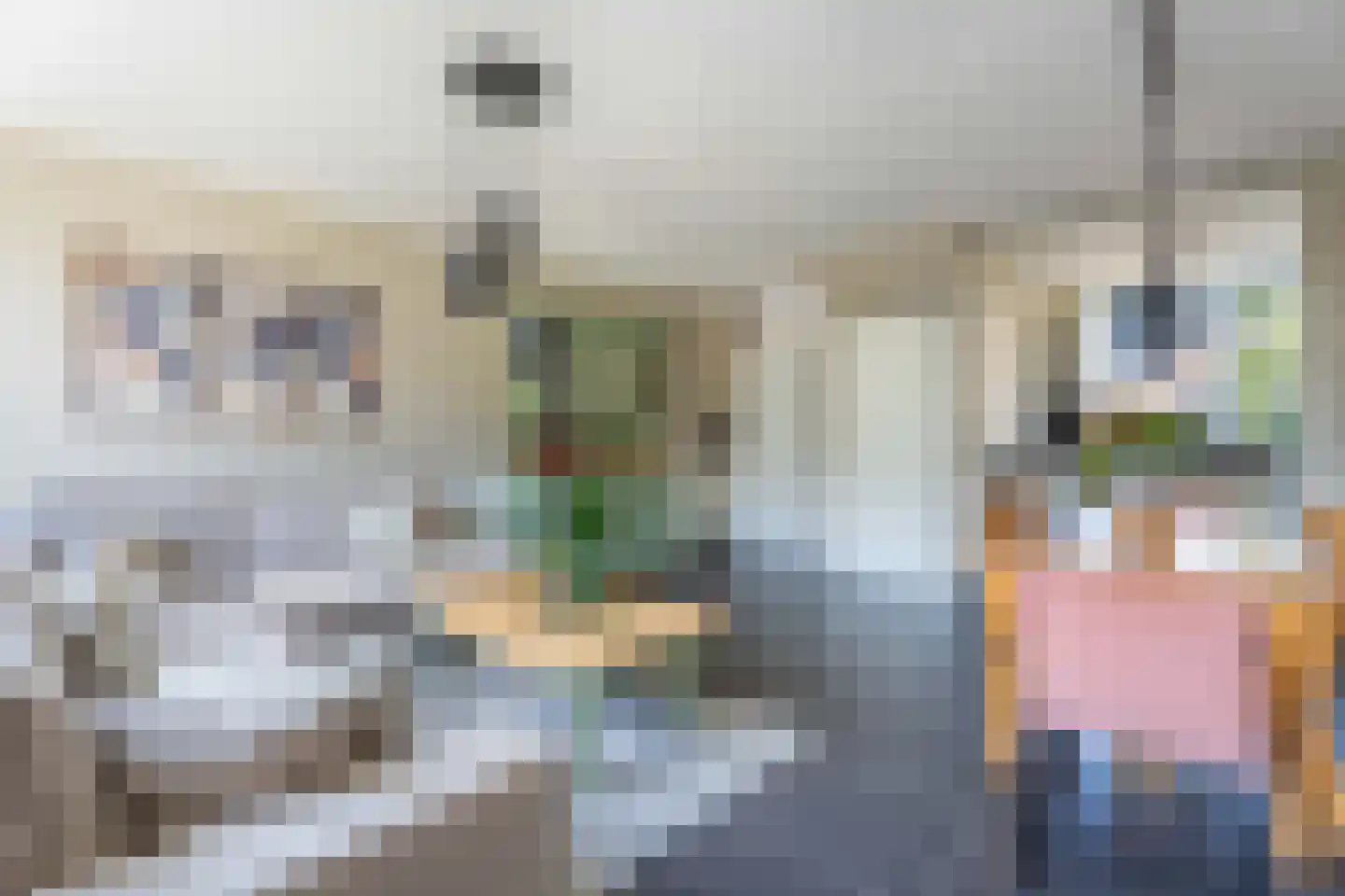 Janplezier 8 Sassenheim thumbnail 4