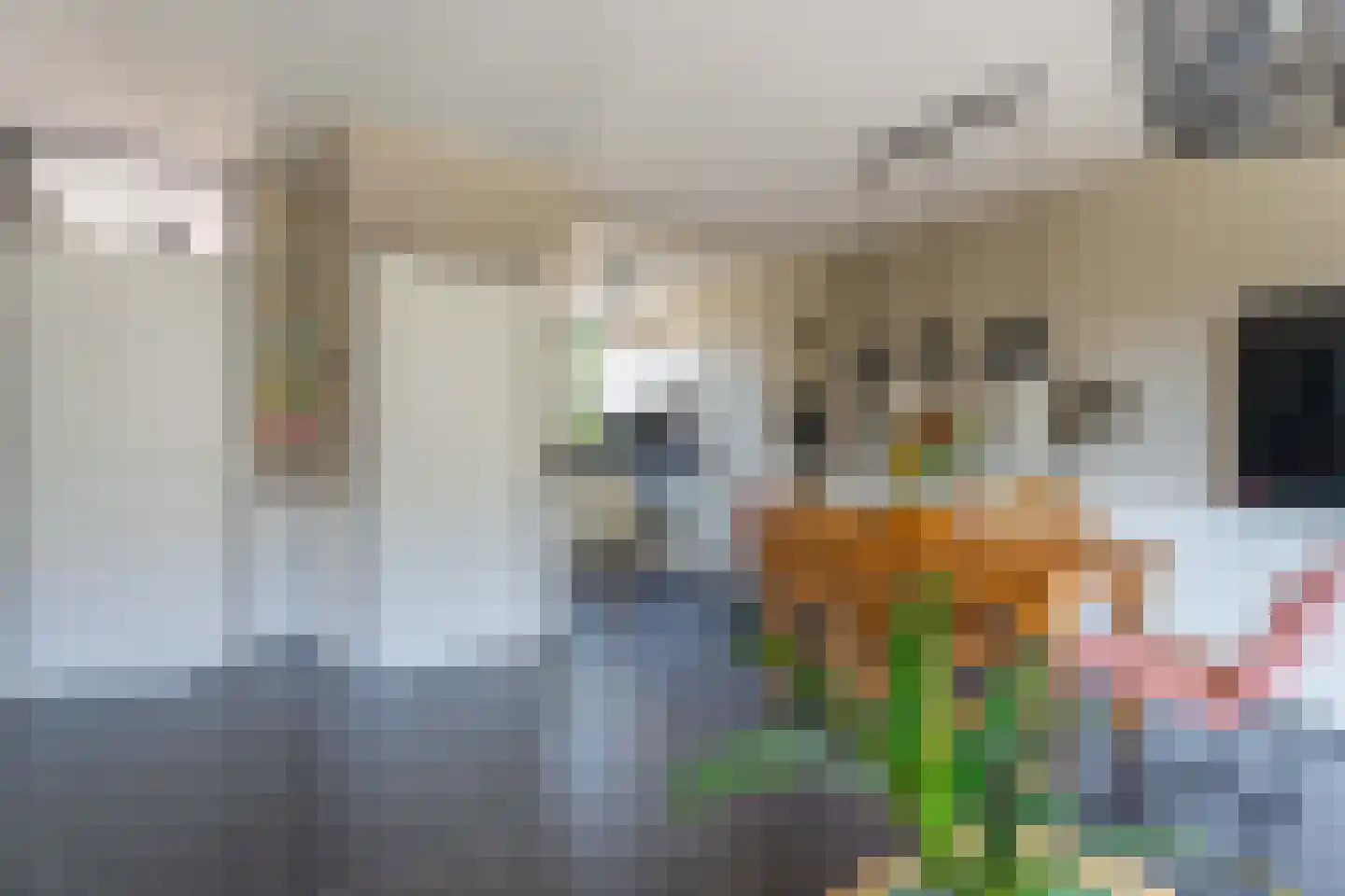 Janplezier 8 Sassenheim thumbnail 7