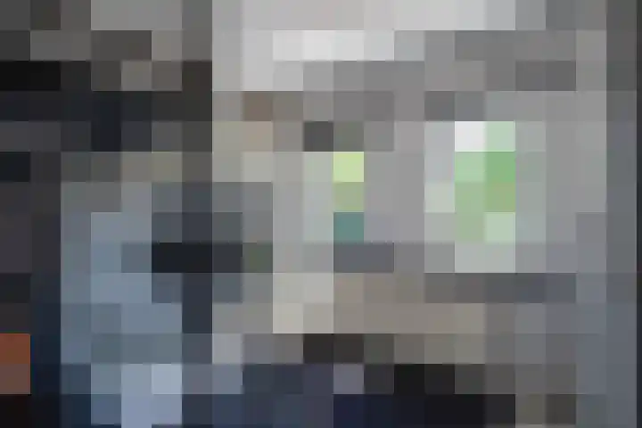 Jans Kamperweg 44 Sittard thumbnail 51