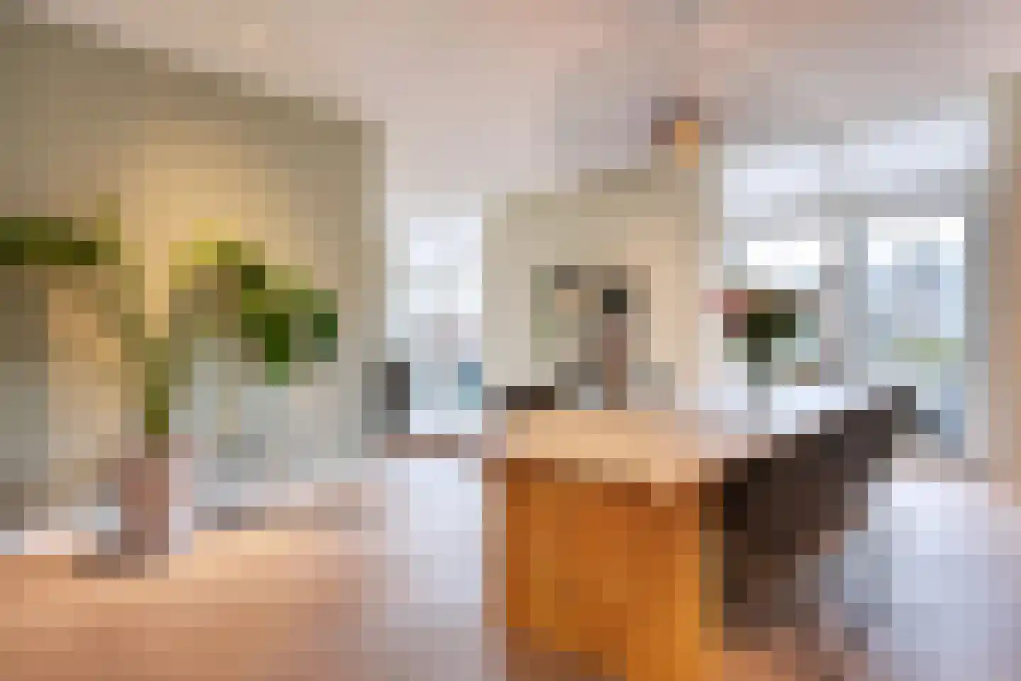 Jansbinnensingel 21 1 Arnhem thumbnail 18