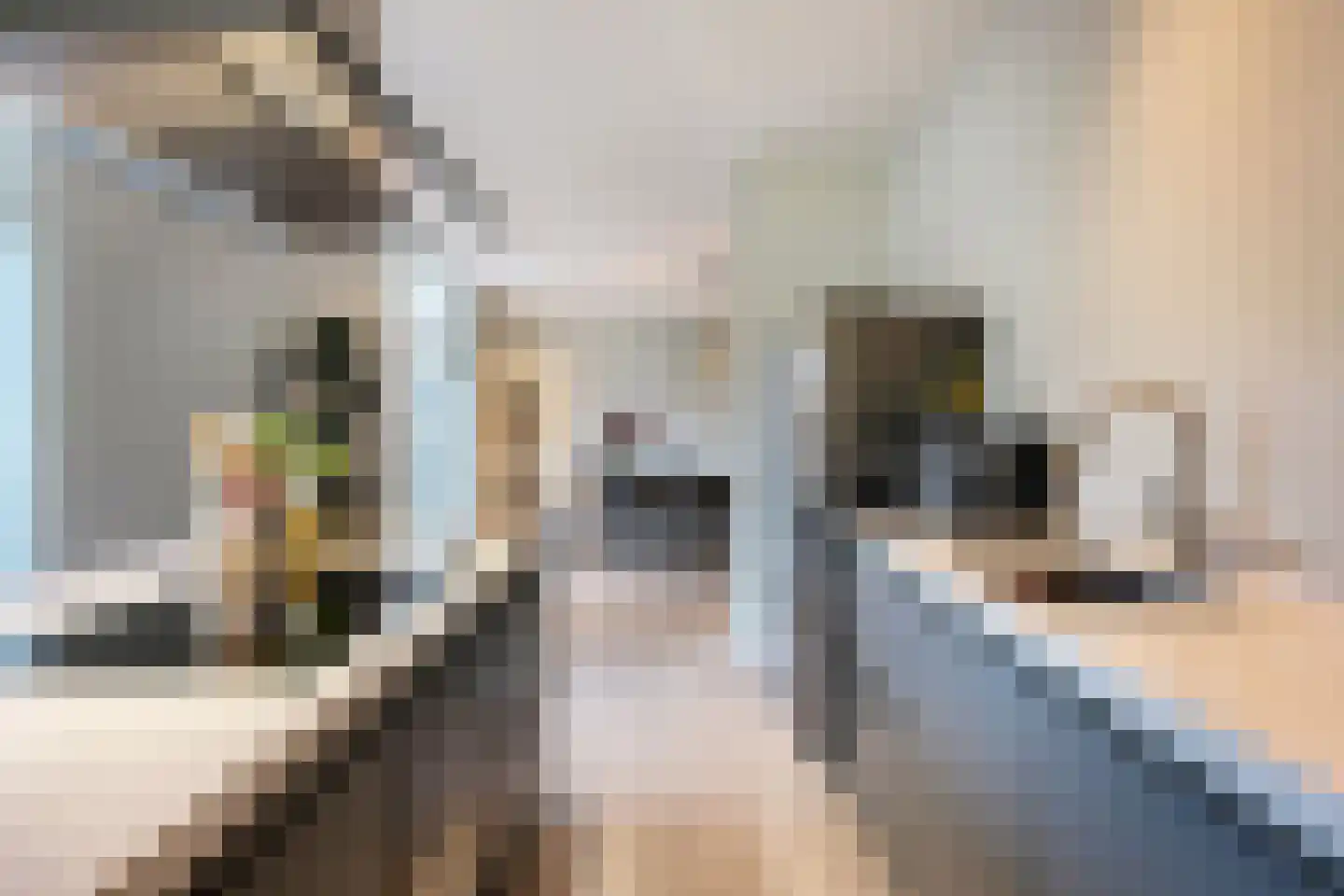 Jansbinnensingel 21 1 Arnhem thumbnail 24