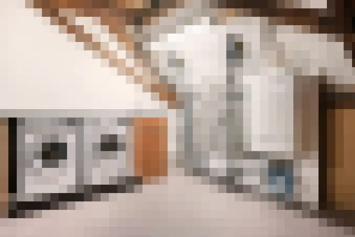 Jansbinnensingel 21 1 Arnhem thumbnail 50