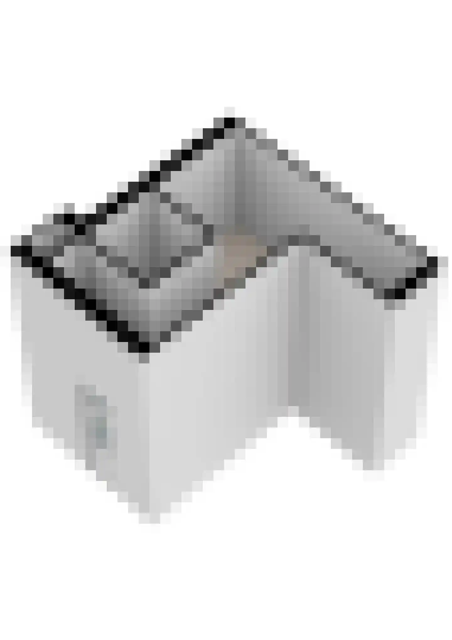 Jansbinnensingel 21 1 Arnhem thumbnail 54