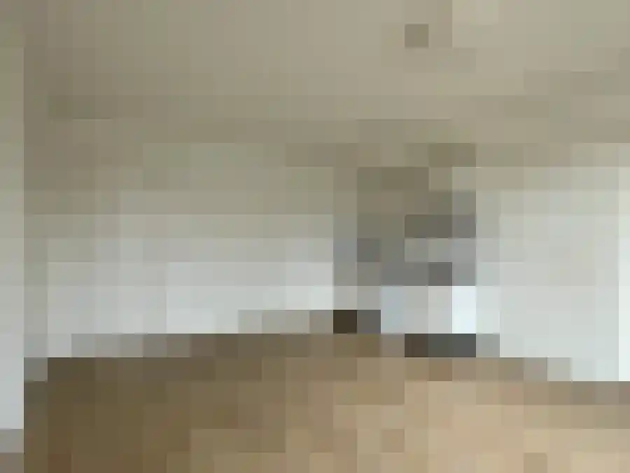 Jansbinnensingel Arnhem thumbnail 4