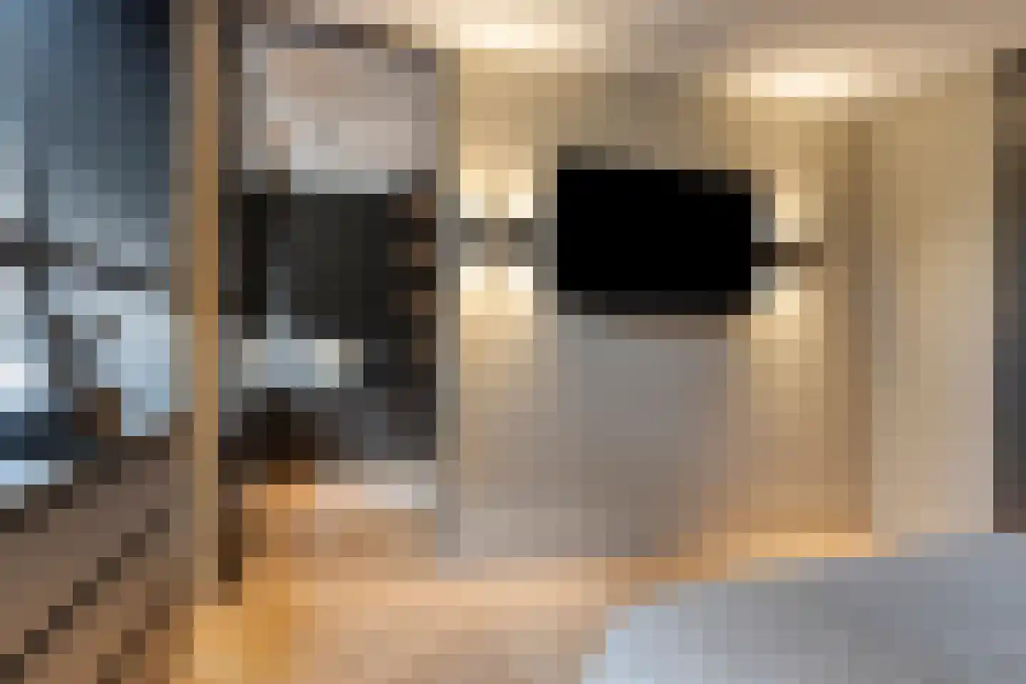 Jansbuitensingel 23 21 Arnhem thumbnail 32