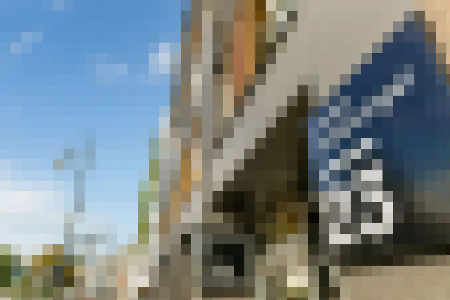 Jansbuitensingel 23 41 Arnhem thumbnail 8