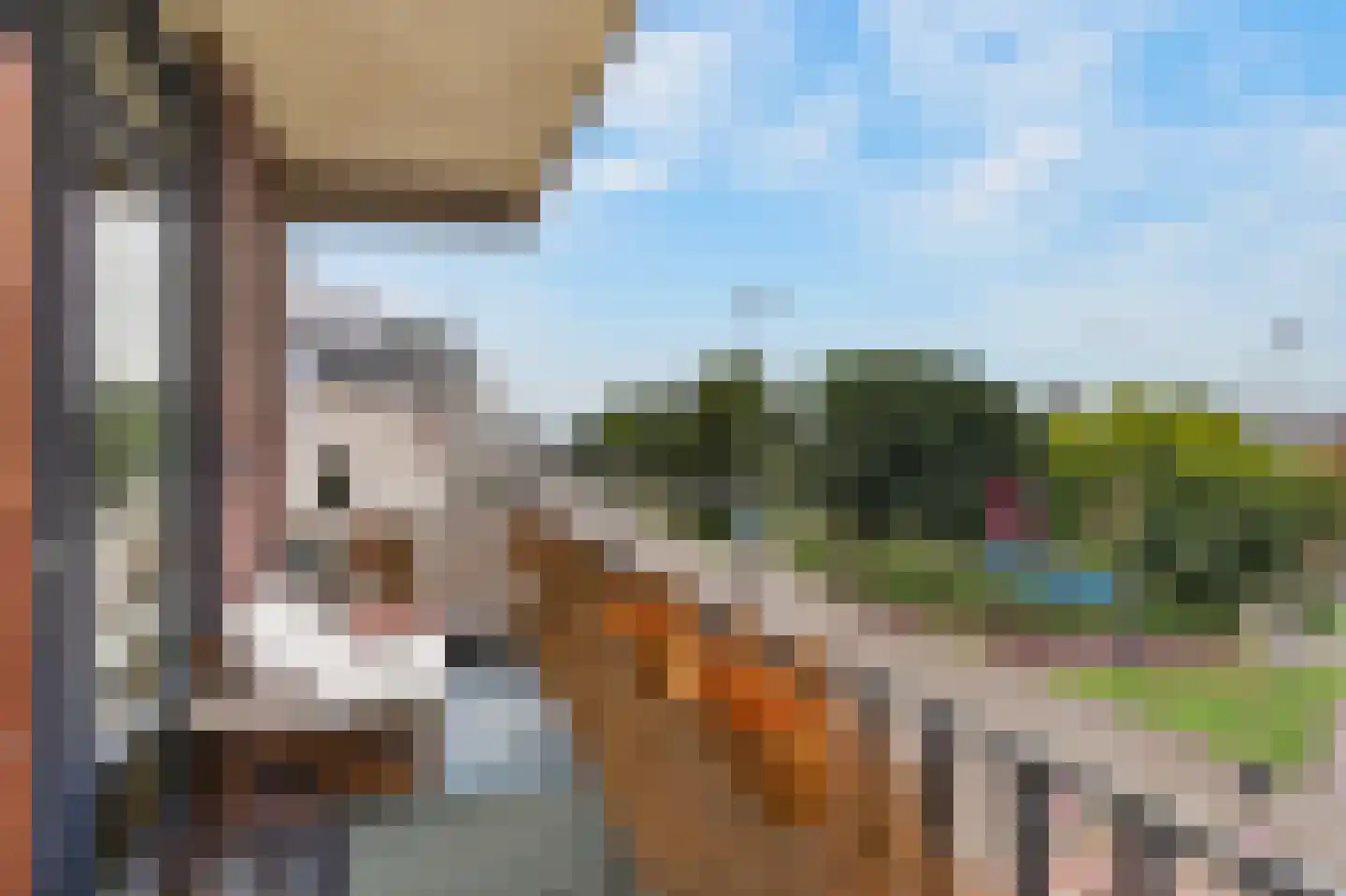 Jansbuitensingel 33 3 Arnhem thumbnail 11