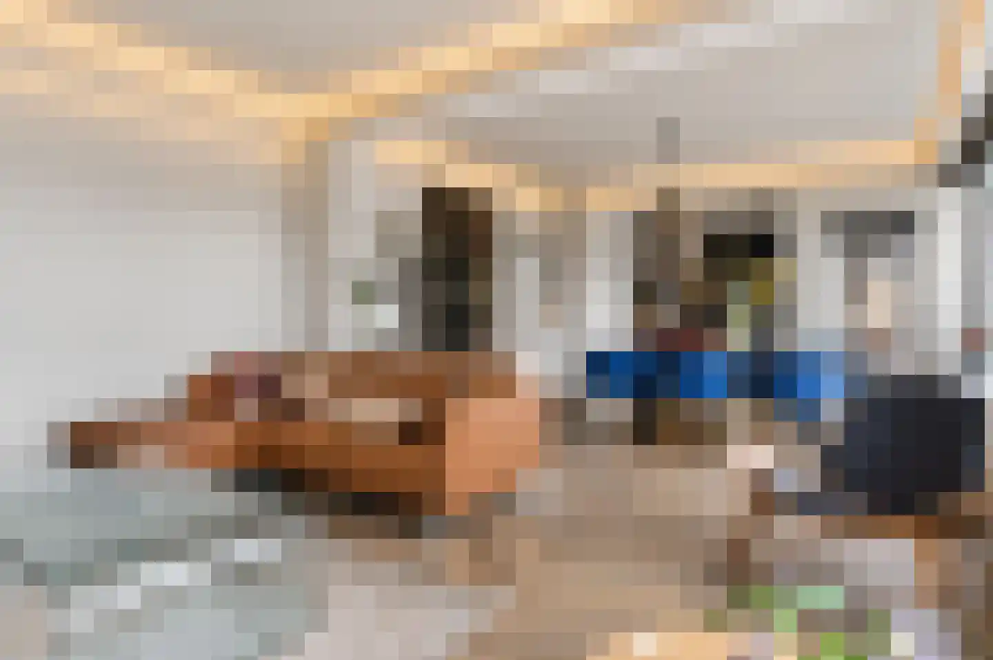 Jansbuitensingel 33 3 Arnhem thumbnail 4