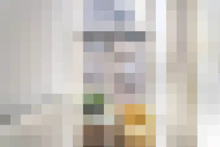 Jansdam 1 A Utrecht thumbnail 12