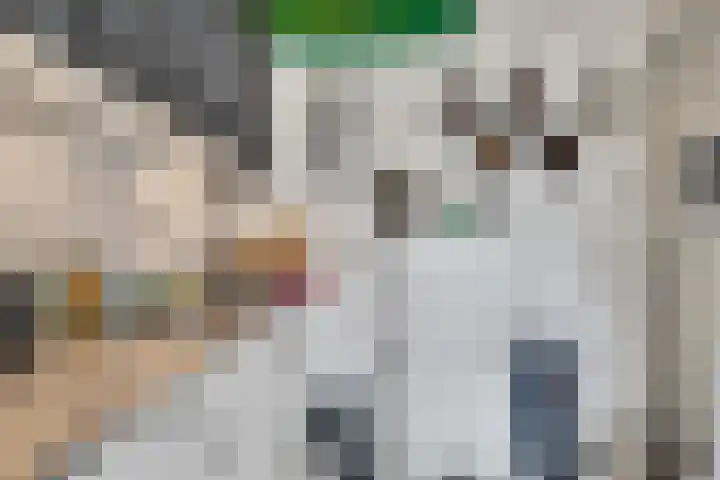 Jansdam 8 Utrecht thumbnail 15