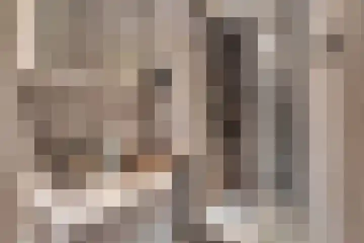 Jansdam 8 Utrecht thumbnail 16