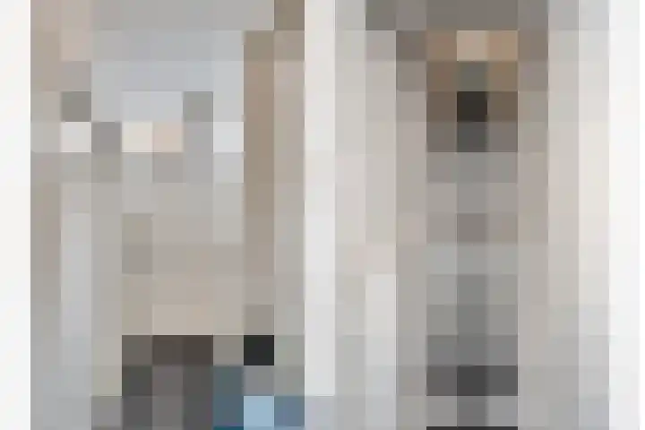 Jansdam 8 Utrecht thumbnail 5