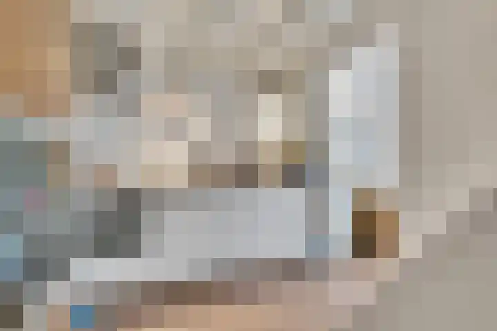Jansdam 8 Utrecht thumbnail 7