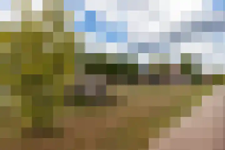 Jansen-akker 9 Barendrecht thumbnail 33