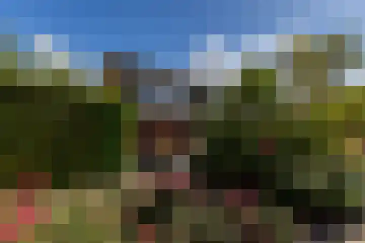 Jansen-akker 9 Barendrecht thumbnail 8