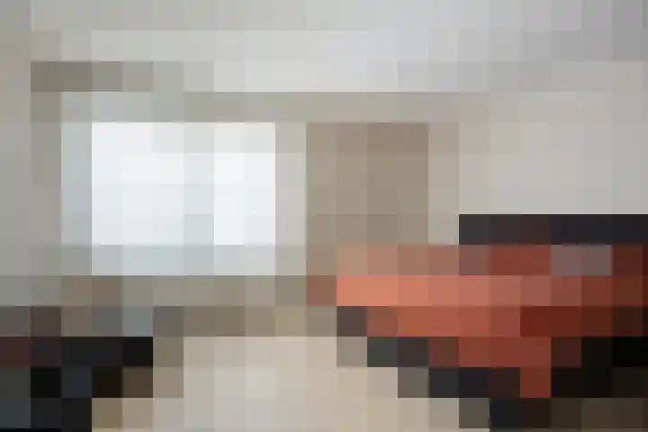 Janseniuslaan 4 Hulst thumbnail 17