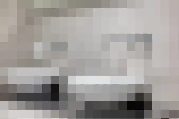 Janseniuslaan 4 Hulst thumbnail 21