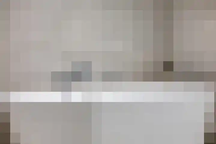 Janseniuslaan 4 Hulst thumbnail 22