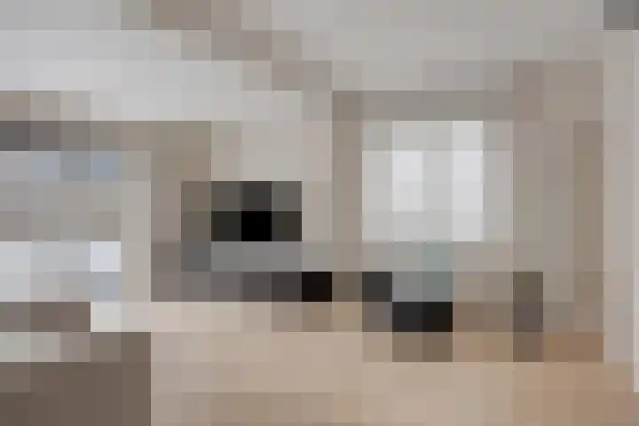 Janseniuslaan 4 Hulst thumbnail 6