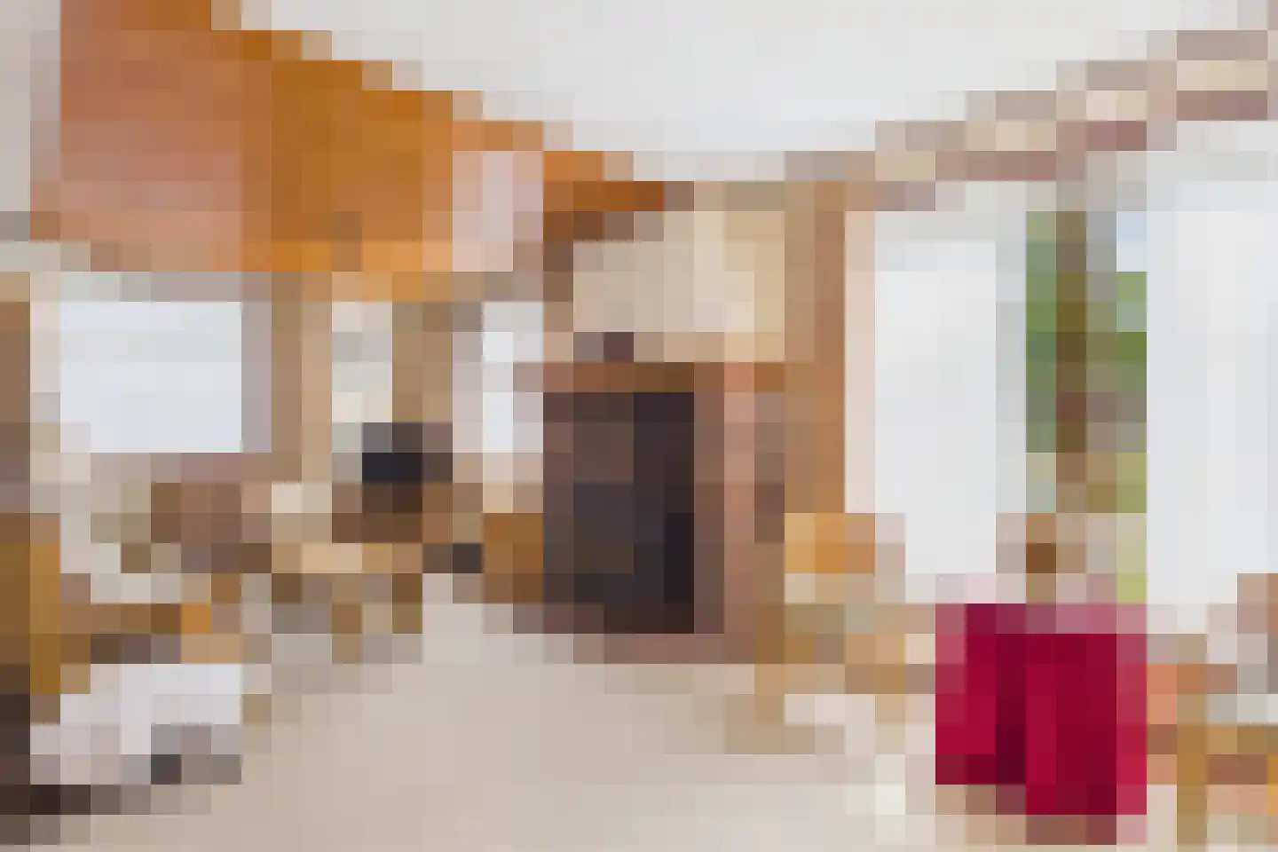 Janseniuslaan 56 Hulst thumbnail 11