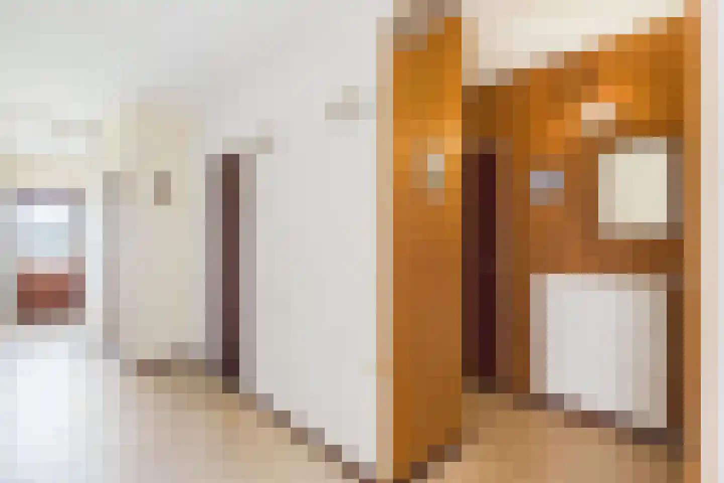 Janseniuslaan 56 Hulst thumbnail 16